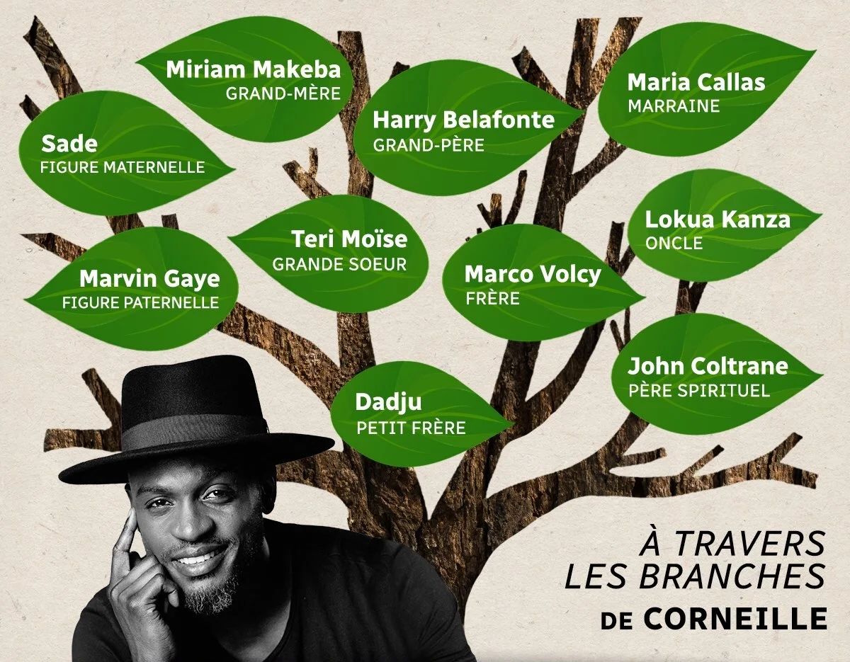 À travers les branches de Corneille