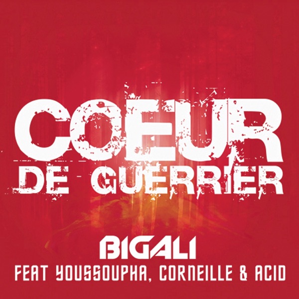 Pochette : Big Ali, Youssoupha & Acid - Coeur de guerrier (Urban Electro)